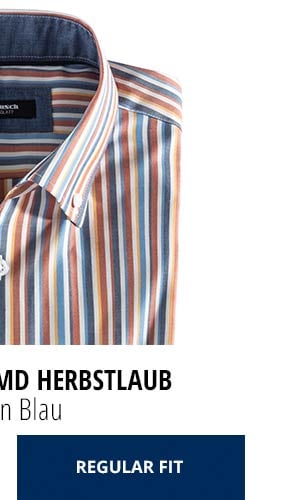Extraglatt-Hemd Herbstlaub - Streifen Blau, Regular Fit | Walbusch