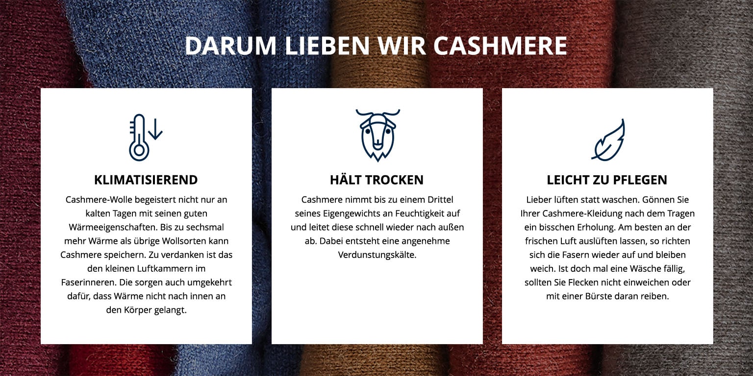 Cashmere | Walbusch