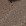 Beige Beige