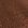 Terra Terra