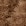 Caramell