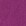Fuchsia Fuchsia
