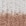 Creme/Praline