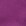 Fuchsia Fuchsia