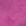 Pink Fuchsia Pink Fuchsia