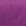 Fuchsia Fuchsia