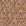 Praline