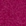 Fuchsia Fuchsia