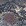 Animalprint Animalprint