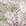 Silber/Floral Silber/Floral