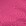 Fuchsia Fuchsia