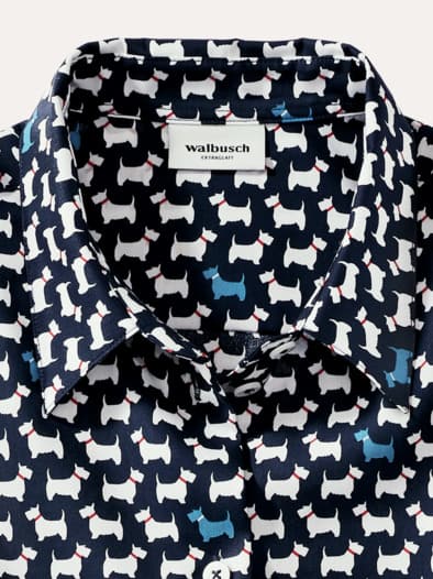 Extraglatt Baumwoll-Bluse Scotch Blau